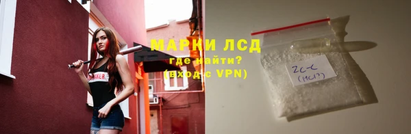 ГАЛЛЮЦИНОГЕННЫЕ ГРИБЫ Балахна