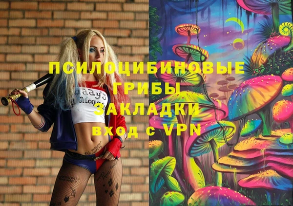 шишки Семёнов