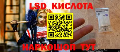 ПСИЛОЦИБИНОВЫЕ ГРИБЫ Краснодар