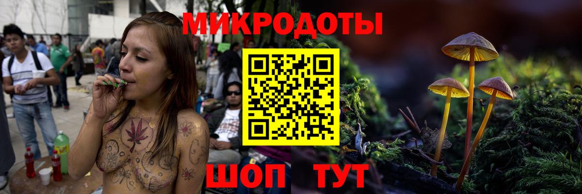 Галлюциногенные грибы Psilocybine cubensis  Вход с VPN  Усть-Джегута 